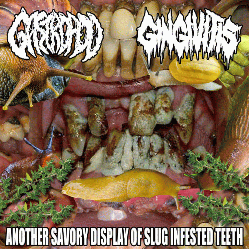 Gastropod : Another Savory Display of Slug Infested Teeth